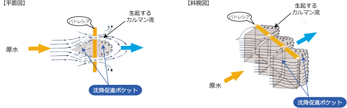 パトレシアの沈降メカニズム