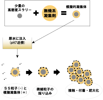 フロック形成の過程