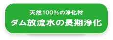 ダム放流水の長期浄化